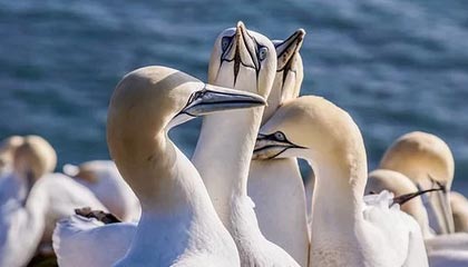 7点出发｜当小学生满口“包的包的”“666”，这位老师的回应绝了！