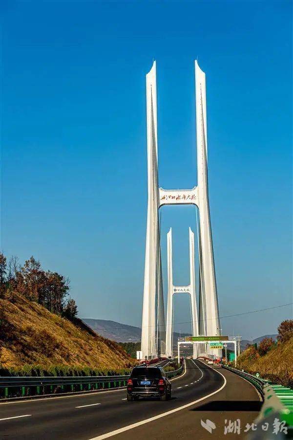 最新!珠海驾车撞人案嫌犯樊某被批捕