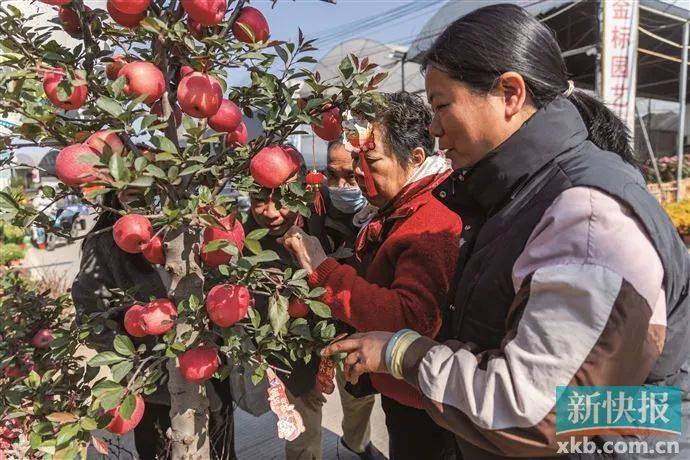 太火了!广州有商家一天卖出平时一个月的花