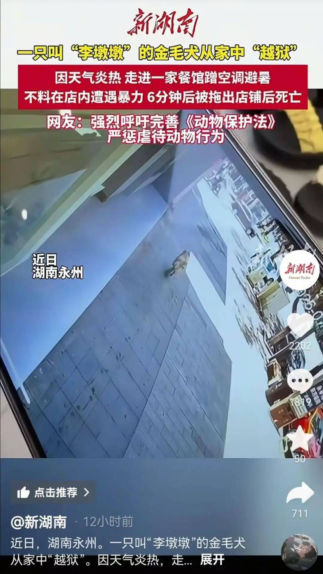 金毛犬“李墩墩”在餐馆遭到殴打后死亡?当地警方已介入