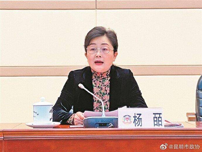 昆明市政协主席杨皕主动投案 曾任昆明市副市长 上月曾参加现场调研