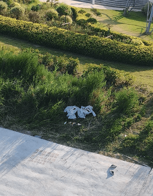 痛心!宋士佳遗体已被发现,年仅30岁