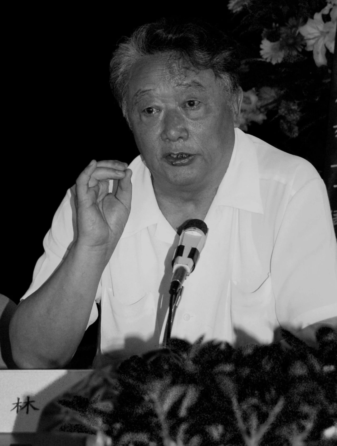 马克思主义理论教育家、清华大学教授林泰逝世,享年94岁