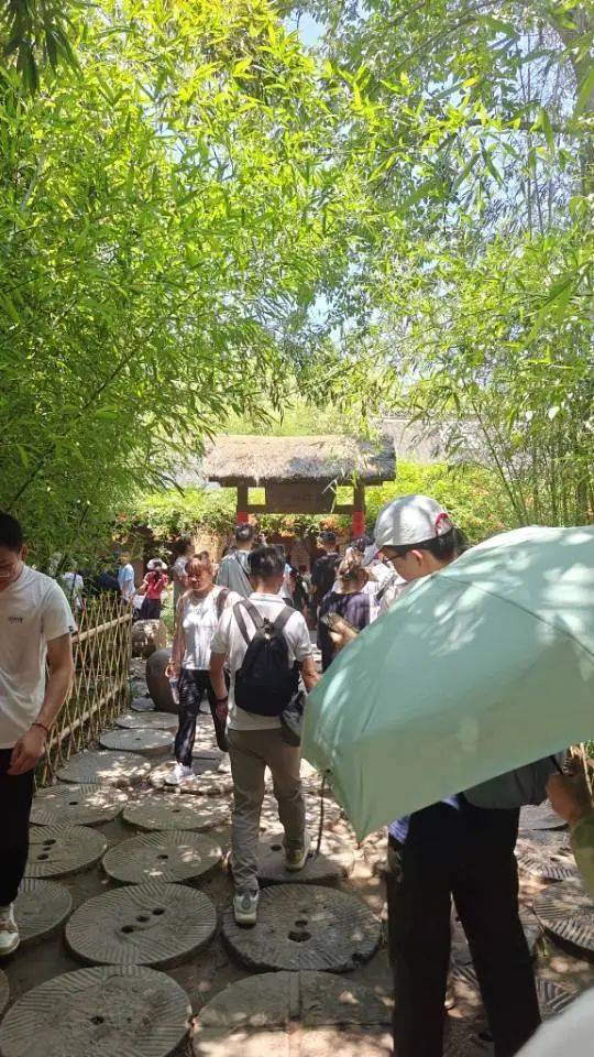 实探印乐任20年方丈的白马寺:基本无商业元素,每天免费供应60余桶水,游客在茶舍大排长龙
