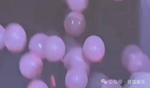 调侃“接受不了生女儿”被骂好几天,他自曝差点因此家庭破裂......