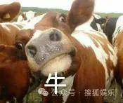 调侃“接受不了生女儿”被骂好几天,他自曝差点因此家庭破裂......