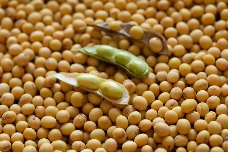 关税停战日剩1天,特朗普没直接掀桌子,而是逼中方“给钱”,英伟达也被收割,最终的输家已定