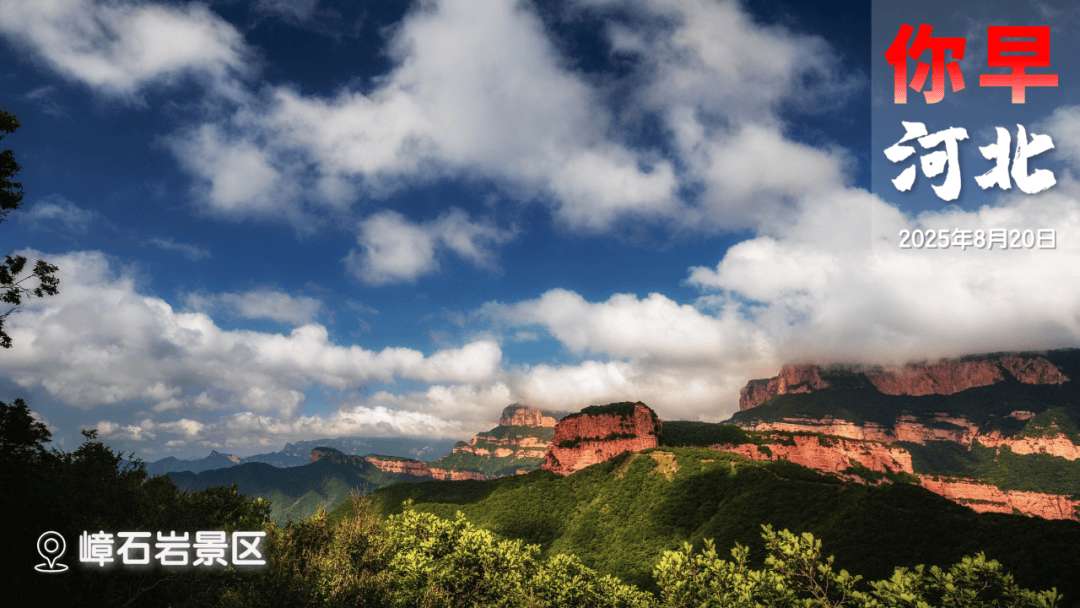 这些面包真的不建议多吃，理由都在这里了！