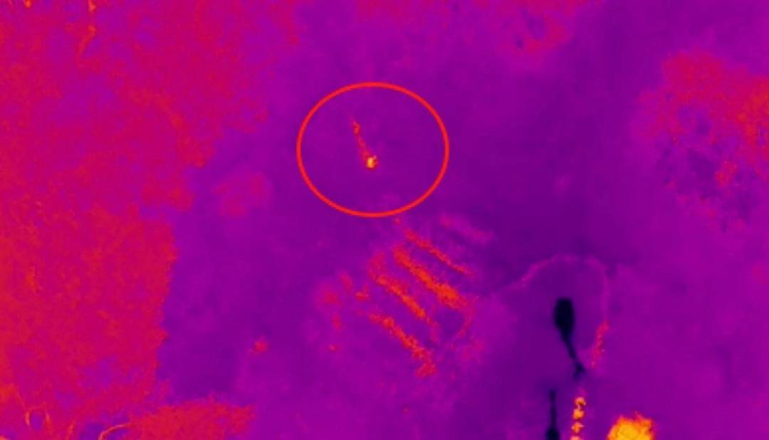 “找到了!有生命体征!”