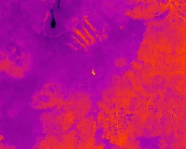 “找到了!有生命体征!”