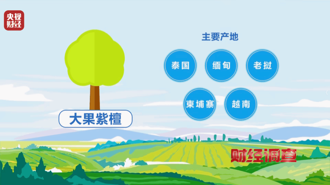 揭秘红木市场乱象:鉴定证书按斤卖一张0.8元,同款床报价差2.7万