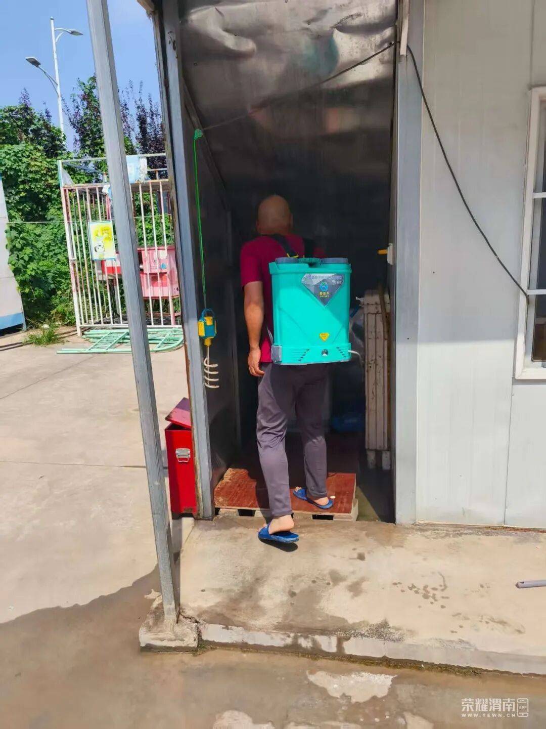 西安多区发现隐翅虫?千万别拍!毒液堪比硫酸