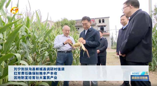 河南省委书记,前往田间地头,拿起玉米了解情况