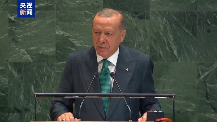 联大多国呼吁落实“两国方案” 美国却在“违抗世界”