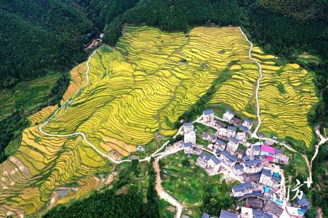 清远两地活动让村民笑开颜,农文旅融合绘就振兴新图景