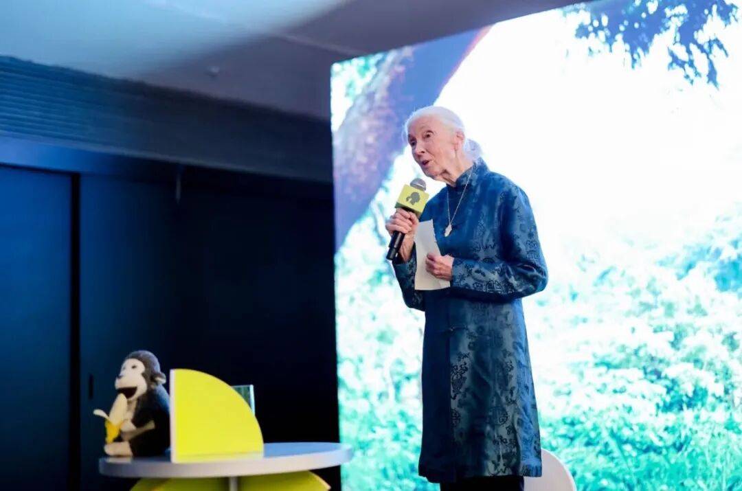 珍·古道尔:她无法看着动物受苦,就像没法看着人类受苦|逝者