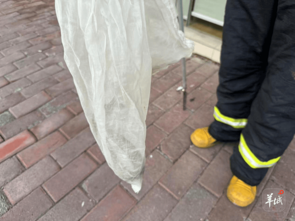 广州一小区蛇患频发：已抓超60条但未探测到蛇窝位置，多方介入