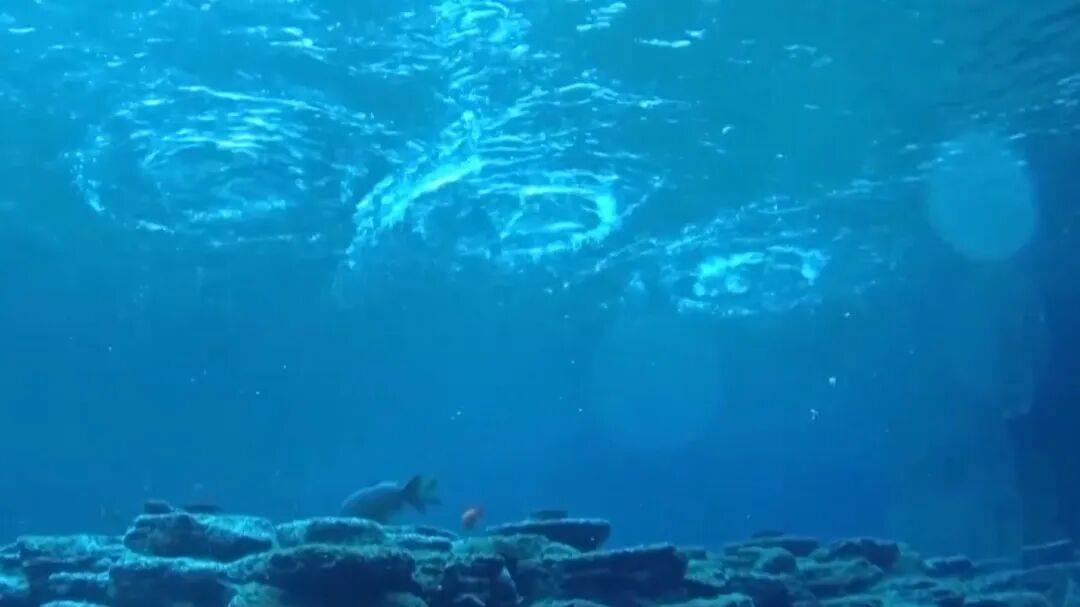 趵突泉“水涌若轮”是靠水泵？专家辟谣，央视揭秘真相