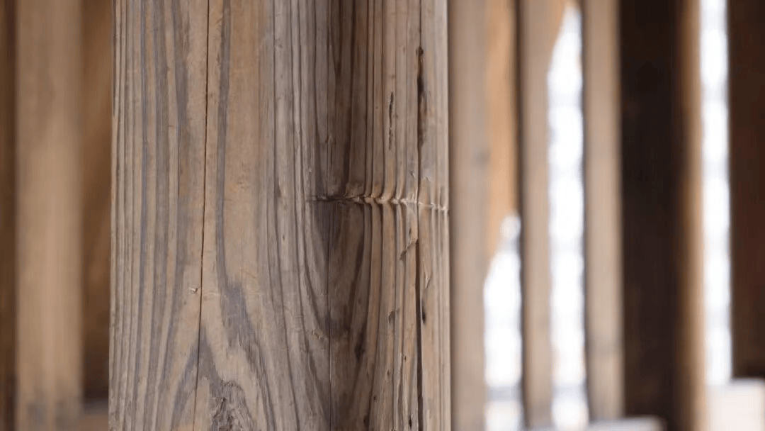 这条路,你记得吗?